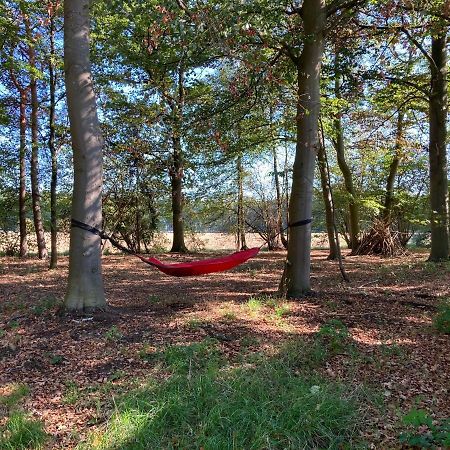 Zum Heuerling Ferienwohung Im Alten Stall Mit Sauna Versmold Exterior photo